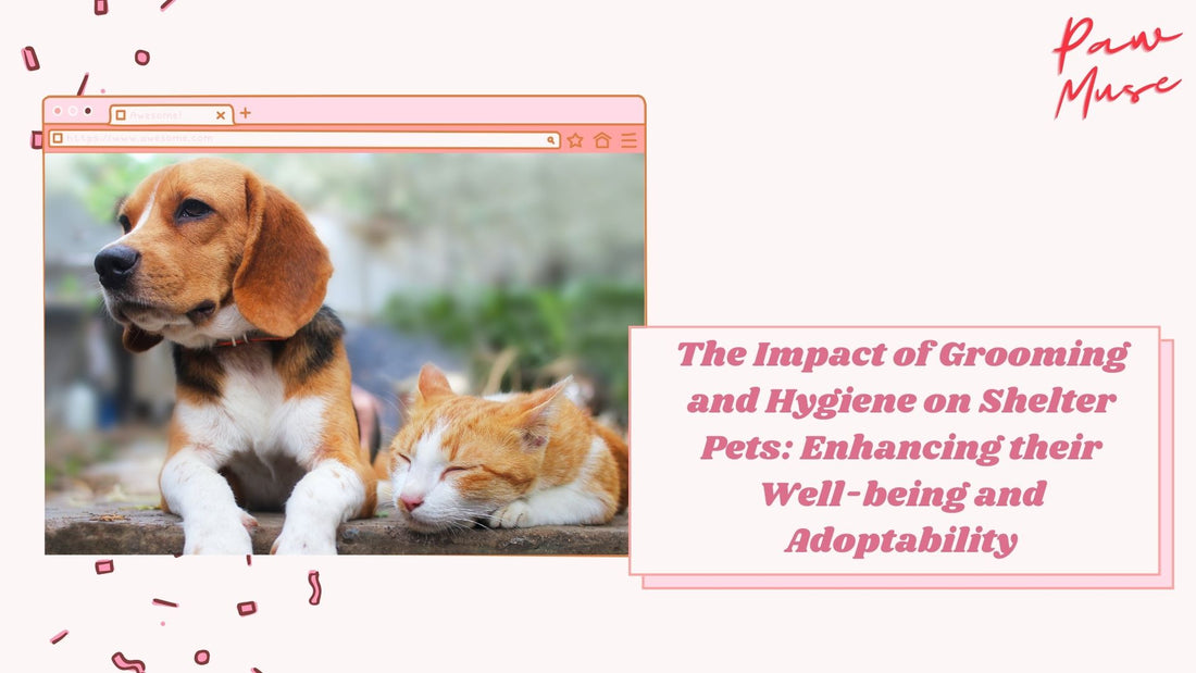 The Impact of Grooming and Hygiene on Shelter Pets: Enhancing their Well-being and Adoptability