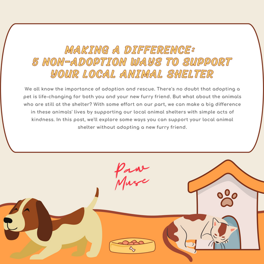 Making a Difference: 5 Non-Adoption Ways to Support Your Local Animal Shelter