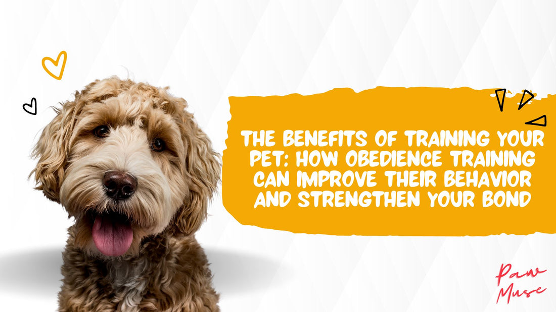 The Benefits of Training Your Pet: How Obedience Training Can Improve Their Behavior and Strengthen Your Bond