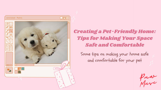 Creating a Pet-Friendly Home: Tips for Making Your Space Safe and Comfortable