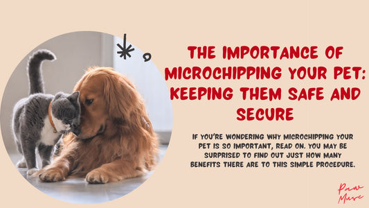 The Importance of Microchipping Your Pet: Keeping Them Safe and Secure