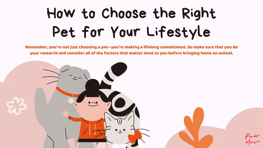 How to Choose the Right Pet for Your Lifestyle 