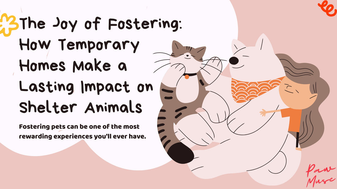 The Joy of Fostering: How Temporary Homes Make a Lasting Impact on Shelter Animals