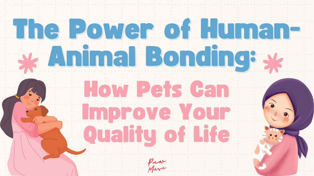 The Power of Human-Animal Bonding: How Pets Can Improve Your Quality of Life
