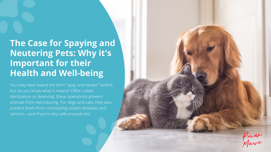 The Case for Spaying and Neutering Pets: Why it's Important for their Health and Well-being